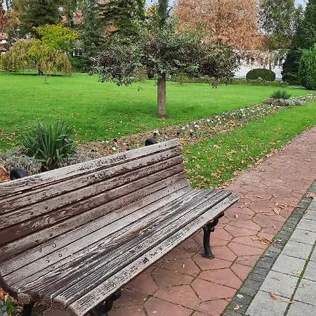 Mila, Apartman Banja Koviljaca