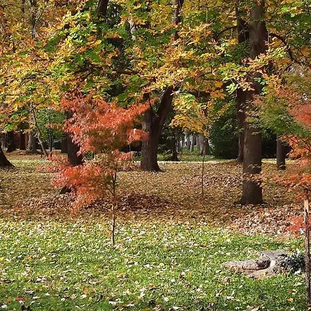 Mila, * Banja Koviljača