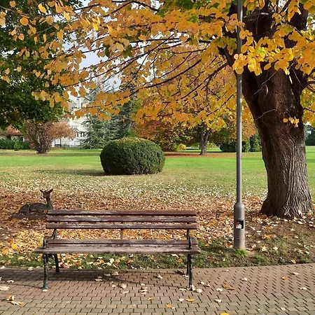 Mila, Apartman Banja Koviljaca