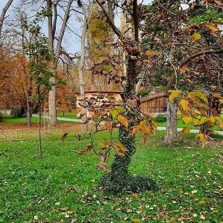 Mila, * Banja Koviljača