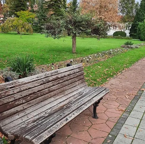 Mila, Apartament Banja Koviljača