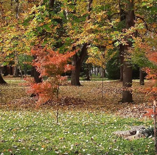 Mila, * Banja Koviljača