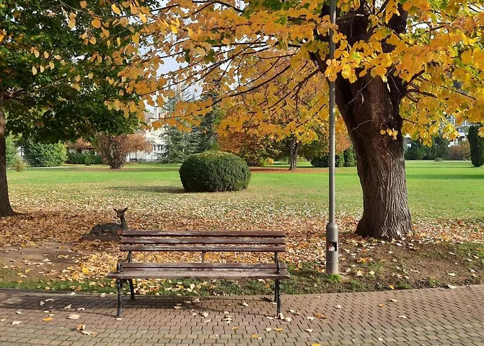 Mila, Apartament Banja Koviljača