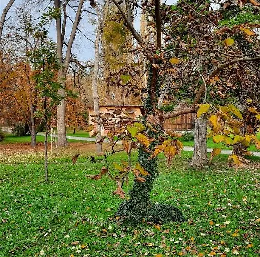 Mila, * Banja Koviljača